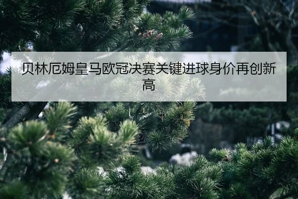 bei-lin-e-mu-huang-ma-ou-guan-jue-sai-guan-jian-jin-qiu-shen-jia-zai-chuang-xin-gao-2-316.jpg
